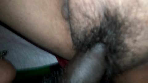 punjabi sexy picture he enters the girl’s hairy pussy