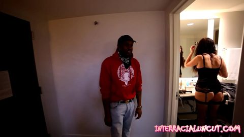 xxx hotel brings bbc bull back to hotel