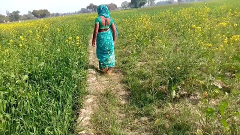 डब्ल्यू डब्ल्यू एक्स एक्स